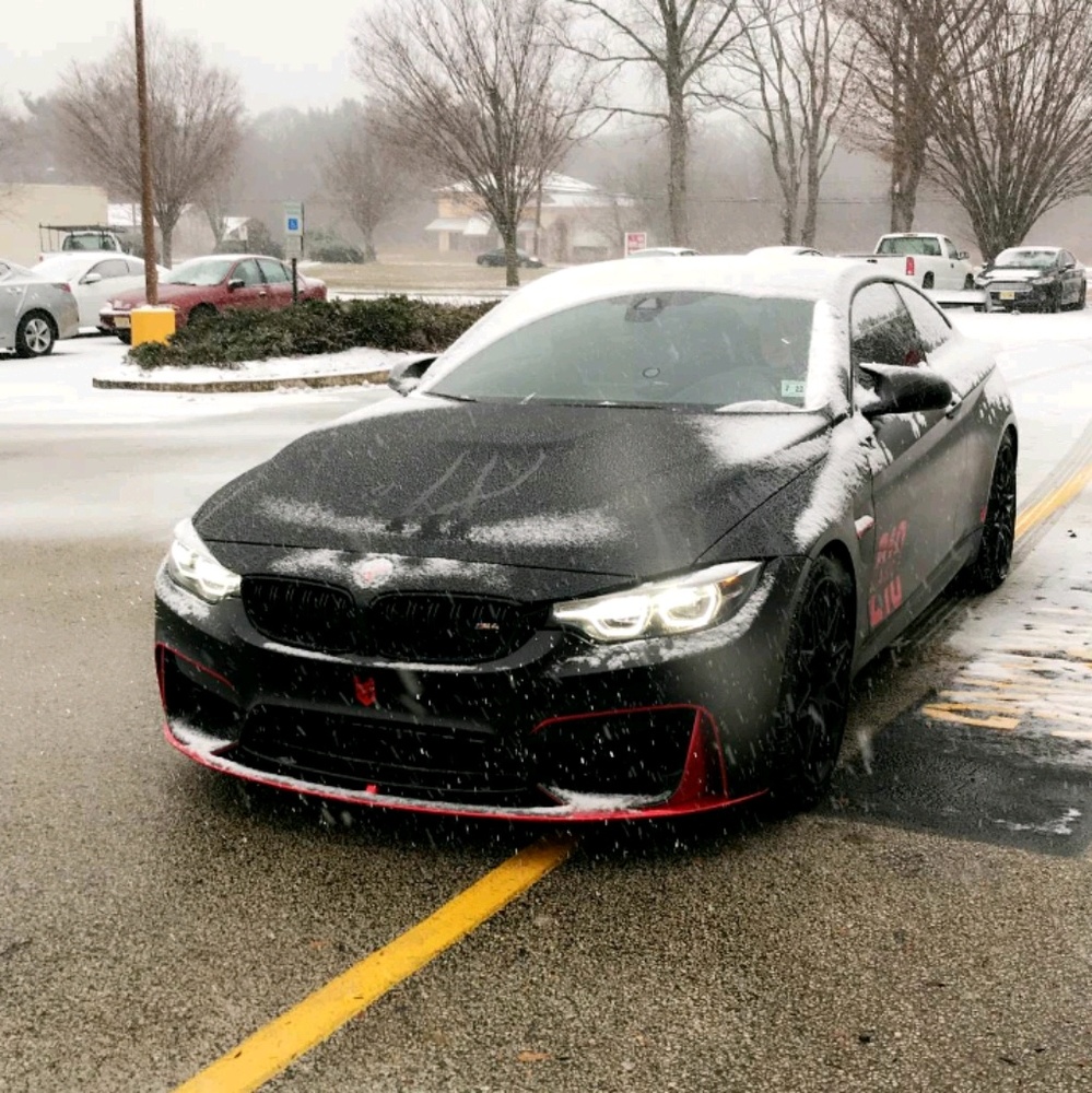 Meet your Posher, Brayden